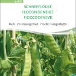 schneeflocke-zuckererbse-bio-samen-saatgut