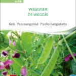 weggiser-zuckererbse-bio-samen-saatgut