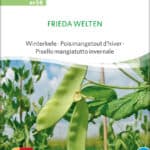 Frieda Welten Zuckererbse Erbse Kefe Winterkefe samen bio saatgut sativa kompost&liebe kaufen online shop