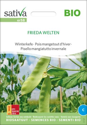 Frieda Welten Zuckererbse Erbse Kefe Winterkefe samen bio saatgut sativa kompost&liebe kaufen online shop