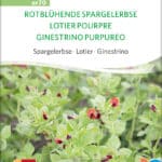 rotbluehende-spargelerbse-bio-samen-saatgut