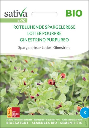 rotbluehende-spargelerbse-bio-samen-saatgut