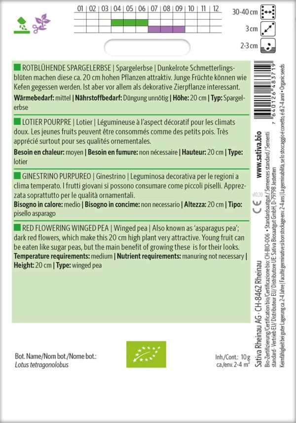 Rotblühende Spargelerbse – Bild 2