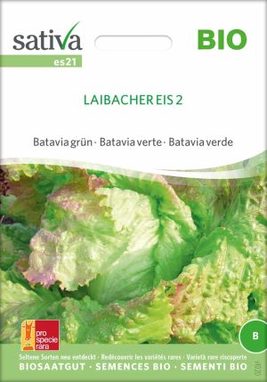 Laibacher Eis 2 | Bataviasalat, bio samen, saatgut, kaufen sativa kompost und liebe online shop