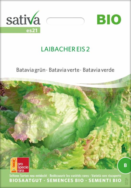 Laibacher Eis 2 | Bataviasalat, bio samen, saatgut, kaufen sativa kompost und liebe online shop