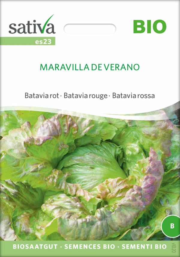 Maravilla de Verano (prod 22/23)