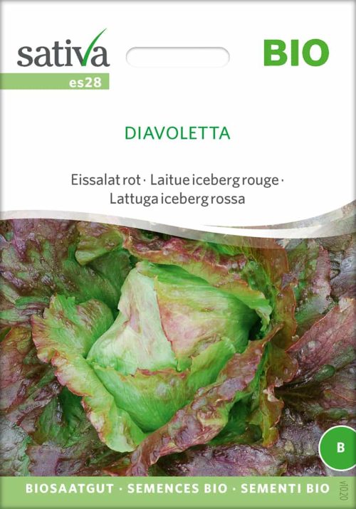 Eissalat rot Diavoletta freiland Saatgut,Bio Sativa kompost und liebe kaufen alte sorten samenfest online shop garten selbstversorger