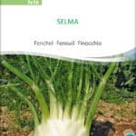 knollenfenchel-selma-bio-samen-saatgut