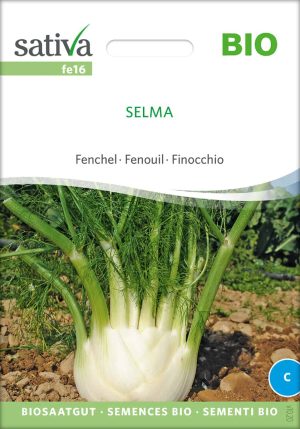 knollenfenchel-selma-bio-samen-saatgut