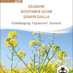 Gelbsenf Gründüngung Gründdünger samen bio saatgut sativa kompost&liebe kaufen online shop