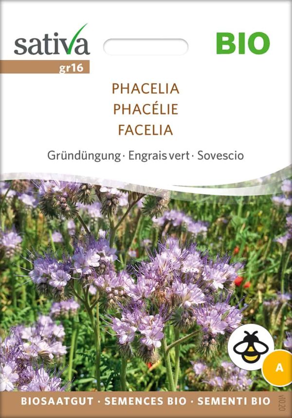 Phacelia