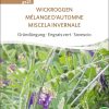 Wickroggen Gründüngung bioverita pro specie rara samen bio saatgut sativa kompost&liebe kaufen online shop
