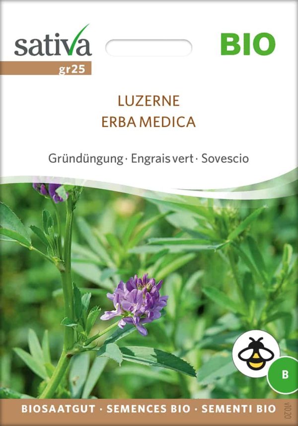 Luzerne