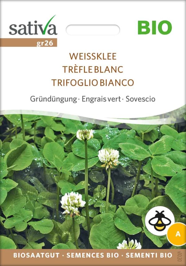 Weissklee