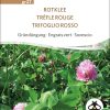 Rotklee Gründüngung Gründünger samen bio saatgut sativa kompost&liebe kaufen online shop