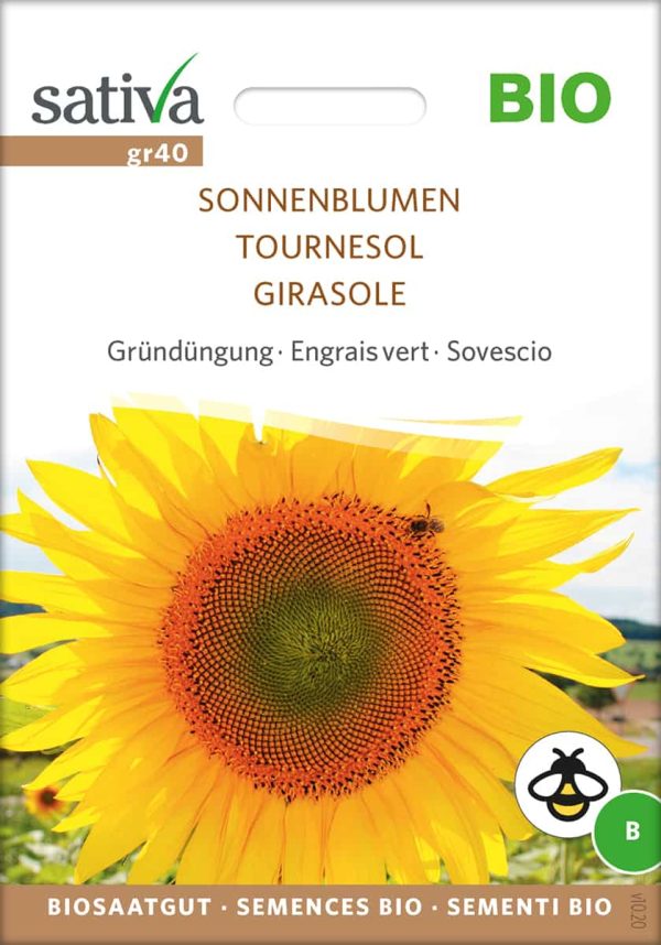 Sonnenblumen