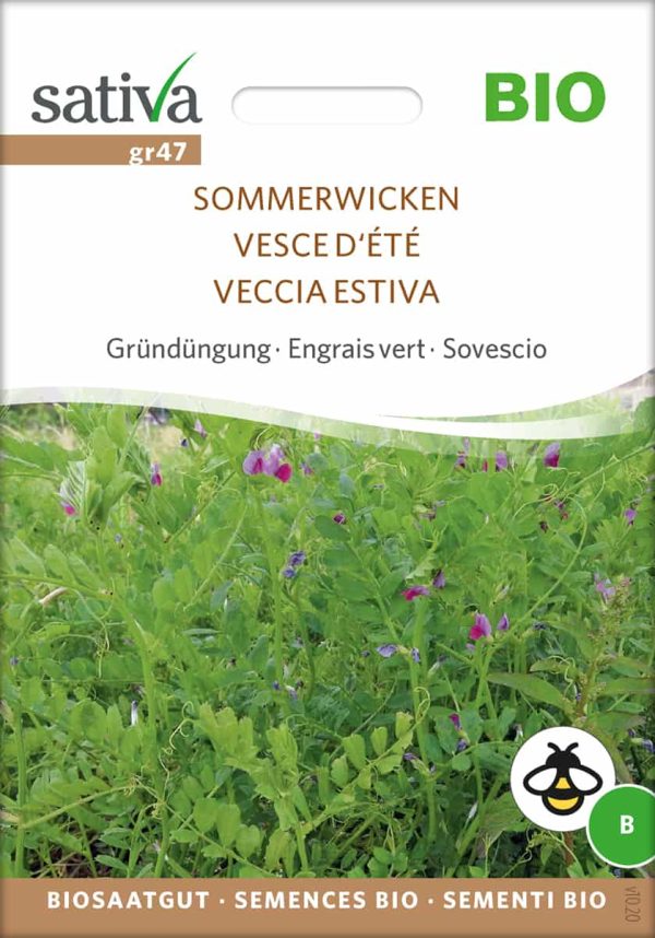 Sommerwicken