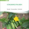 gurke-vorgebirgstrauben-bio-samen-saatgut,