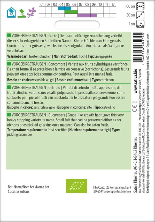 Vorgebirgstrauben – Bild 2