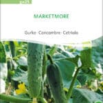 marketmore, salatgurke, freilandgurke,gurke,bio,samen,saatgut,bio samen, biosamen,