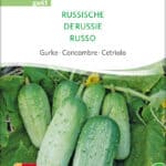 russische gurke, samen, saatgut, bio,biosamen,biosaatgut,seltene sorte