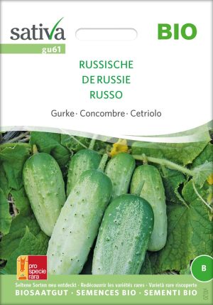 russische gurke, samen, saatgut, bio,biosamen,biosaatgut,seltene sorte