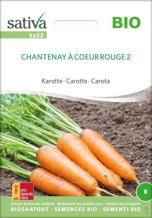 Karotten Chantenay à Coeur Rouge 2, möhre, bio samen, saatgut, kaufen