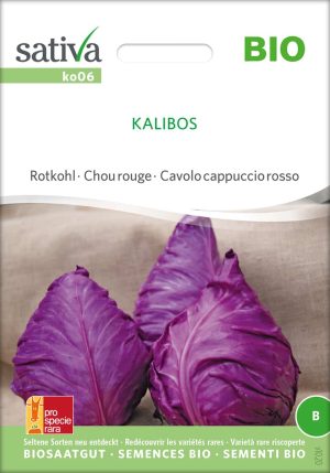 kalibos,kohl,rotkohl,bio,samen,saatgut