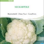 neckarperle-blumenkohl-bio-samen