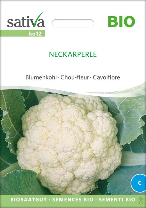 neckarperle-blumenkohl-bio-samen