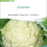 goodman-blumenkohl-bio-samen-saatgut