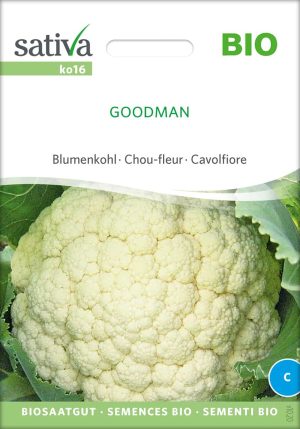 goodman-blumenkohl-bio-samen-saatgut