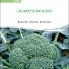 calabrese-natalino-broccoli-bio-samen bio saatgut samenfest alte Sorte brokkoli