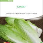 granat-chinakohl-samen-saatgut-bio