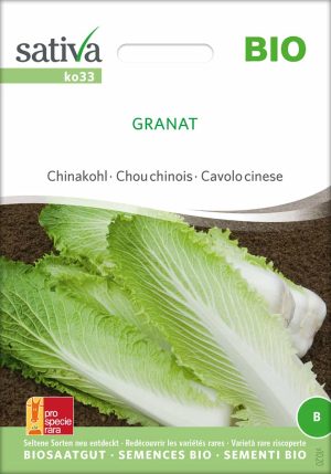 granat-chinakohl-samen-saatgut-bio