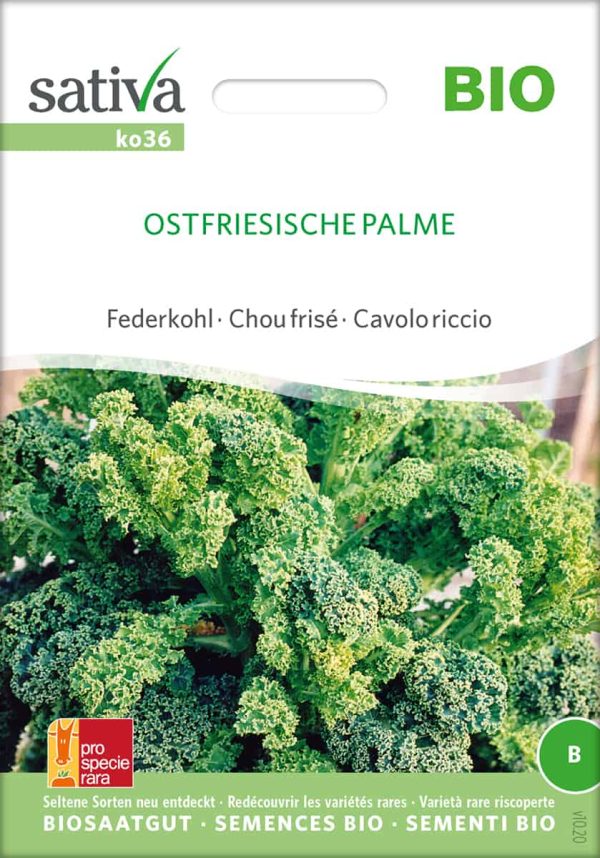 ostfriesische-palme-gruenkohl-bio-samen