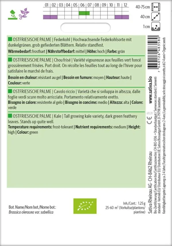 Ostfriesische Palme – Bild 2