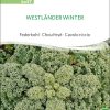 westlaender-winter-gruenkohl-bio-samen