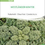 westlaender-winter-gruenkohl-bio-samen