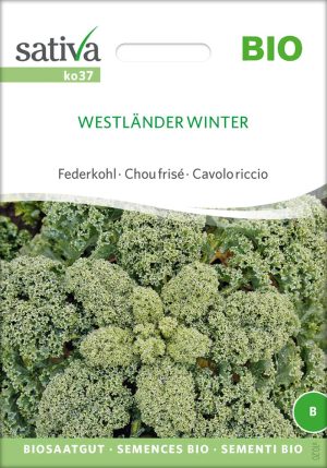 westlaender-winter-gruenkohl-bio-samen