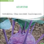 azur-star-kohlrabi-bio-samen-saatgut