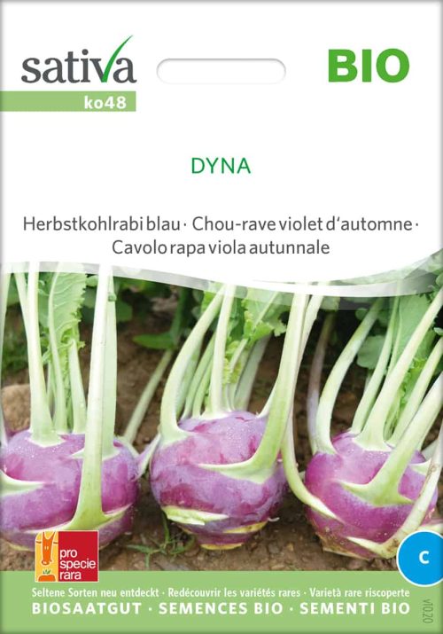 dyna-kohl-kohlrabi-bio-samen-saatgut