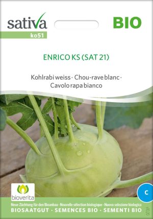 enrico-kohl-kohlrabi-bio-samen-saatgut