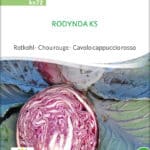 Rodynda,kohl,rotkohl,bio,samen,saatgut