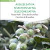 auslese-sativa-rosenkohl-bio-samen