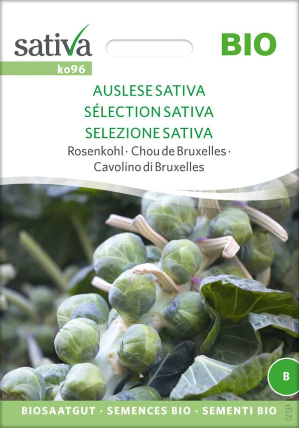 auslese-sativa-rosenkohl-bio-samen