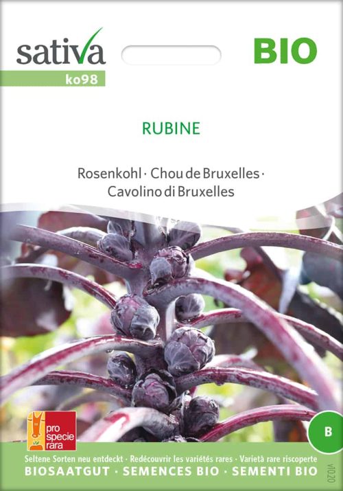 rubine-rosenkohl-bio-samen-saatgut