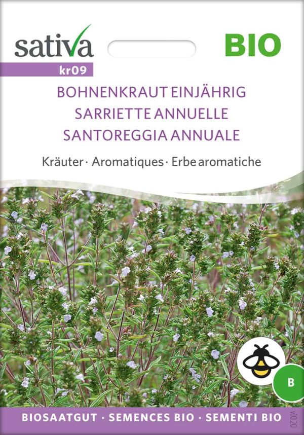 Bohnenkraut einjährig