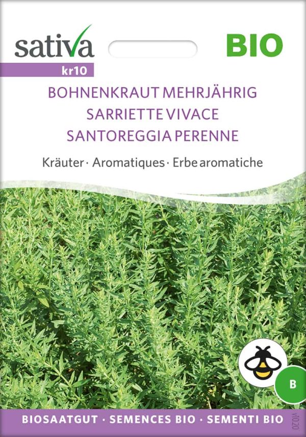 Bohnenkraut Mehrjährig