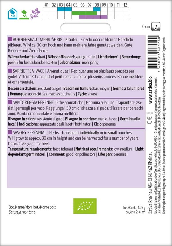 Bohnenkraut Mehrjährig – Bild 2